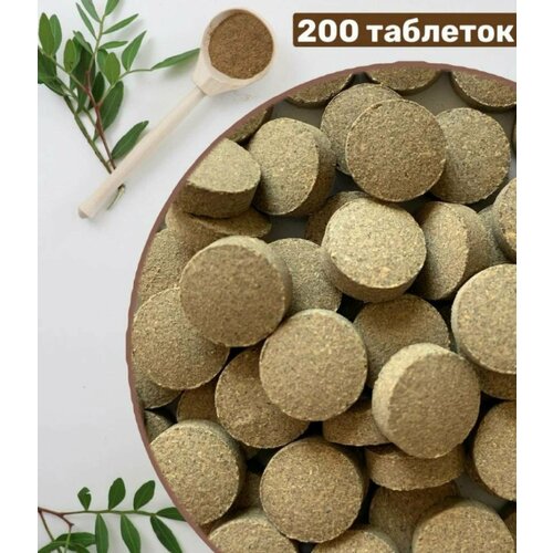 ���� ���� ����� � ������ ���� ������������ � ��������� 200 ��. 