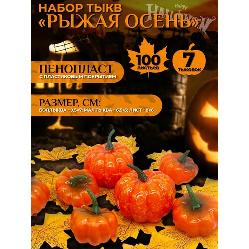 ���� ����� ���� 