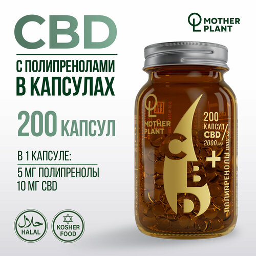    CBD     (200   10 ), Motherplant  -     , -  