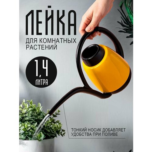 ���� ����� elfplast 