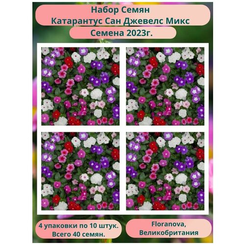 ���� ���������� ��� ������� ���� 4 �������� �� 10 ����, Floranova, ��������������