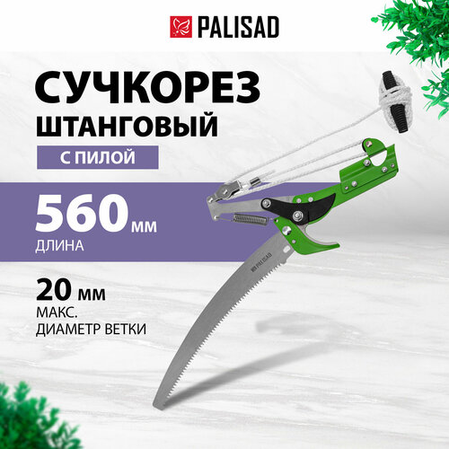    PALISAD 60593 560  -     , -  