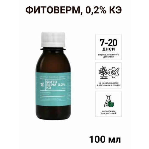 ���� ��������