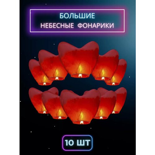 ���� �������� ������ ������� ������� ��������� �������� ���