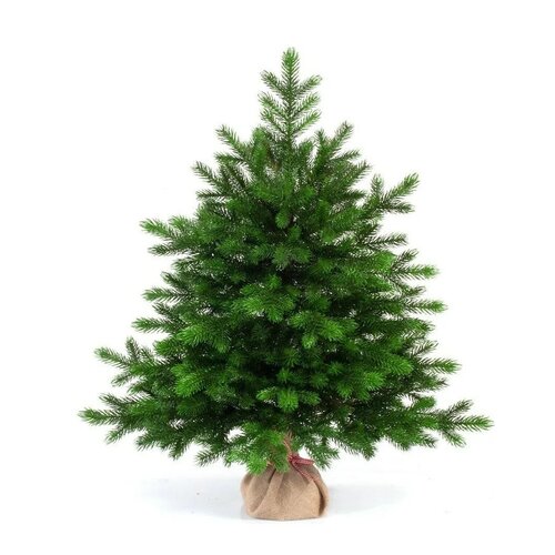 ���� ��� ������������� ���� ���� ������� �������, 60 ��