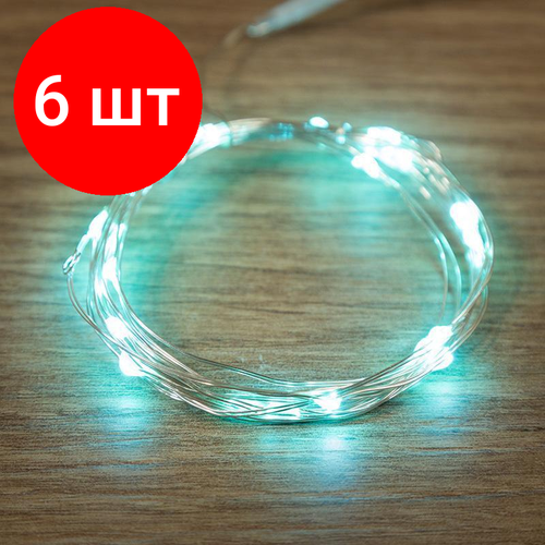 ���� �������� 6 ����, �������� ������������ ����, 2 �, 20 ������, ���� ��������� 303-004