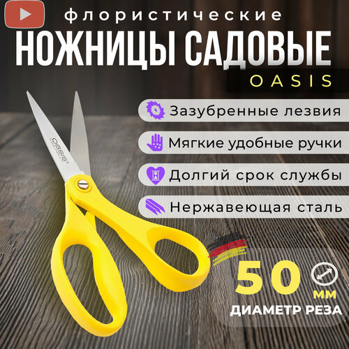 ���� ������� ������� , ������� ��� ������ Oasis, ��������������