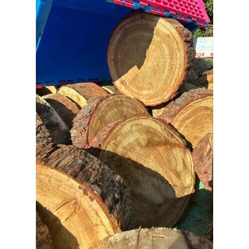 ���� ���� 1 �� ����������� ������ 30 �� ������� 9-10 �� ���������