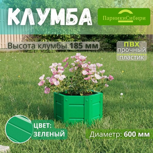 ���� ������� ������/������ �� ���, ��������, 