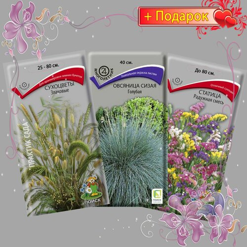 ���� ����� ����� ������ ���������, �������� �����, ������� (������, ��������),3��.