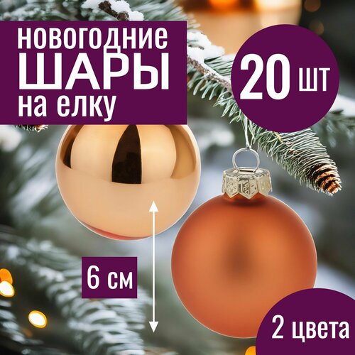 ���� ���� �� ���� ���������� 6�� ����� ������� ������� ������ 20 �� �������