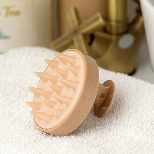 ���� ��������� ����� ��� ����� ����� � ���� ������ ����������� ��������