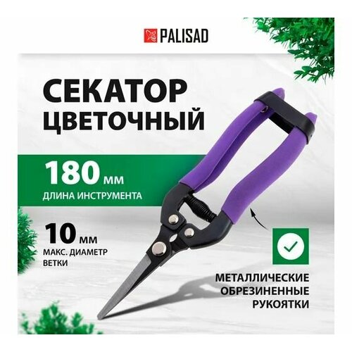     180 ,  . , . ,    PALISAD  -     , -  