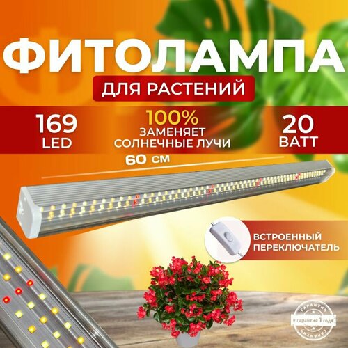       ,    ,     ,  168 LED 20   -     , -  