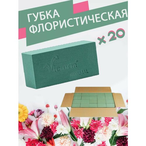 ���� ����� �������������� (������, ����), 23 � 11 � 7,5 ��, 20 ����