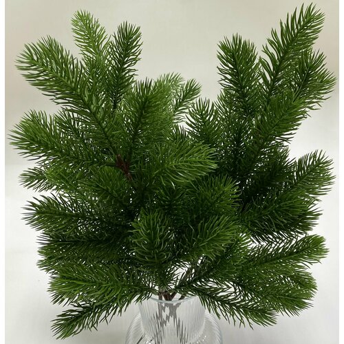 ���� ������ ����� �������������, 16 �����, 42��, 5 ��/��� ������/����� ���