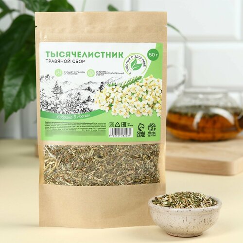 ���� �������������, �������� ����, ��������������������� ������, �������� ���������, 50 �. 1��.