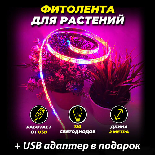          2  USB-  -     , -,   