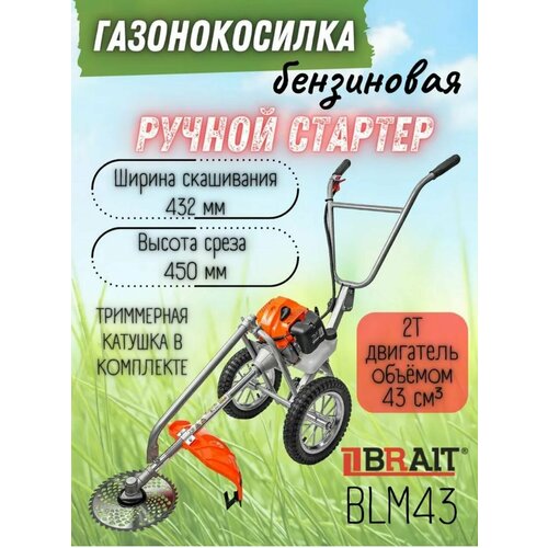     BRAIT BLM43(   )  -     , -  