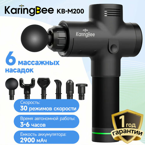     KaringBee KB-M200 6   30   2900   -     , -  