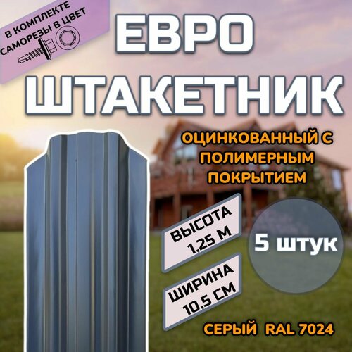 ���� ��������� ������������� �������� (������, ����������) 5 ����.(������ � ���������)������������� �����, ���� RAL 7024 �����, ������ 1.25�, ������ ������ 105��)�����