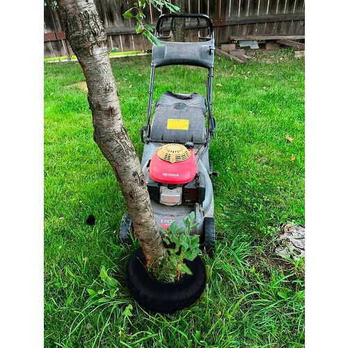 ���� ������ ������� �������� 