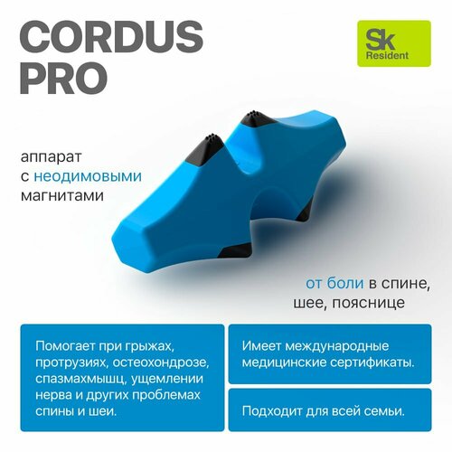   Cordus Pro ( ) -      .  -     , -  