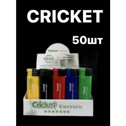    Cricket  /50  -     , -  