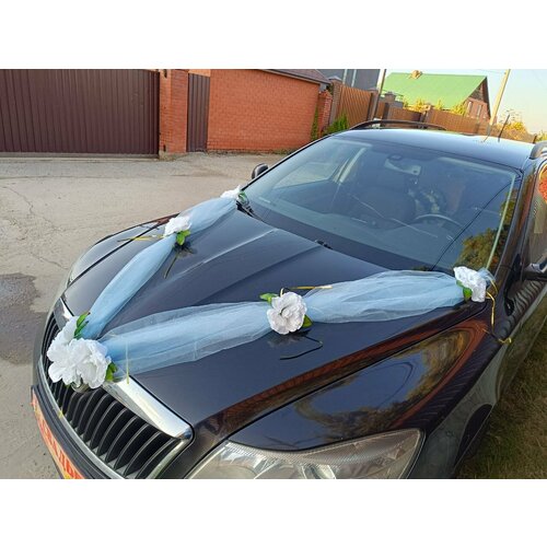 ���� ��������� ����� �� ����� ����������