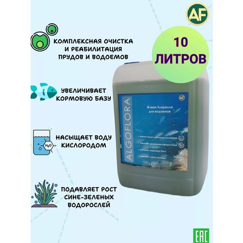 ���� �������� ��� ������� ������ � �������� 10 ������