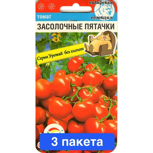 ���� ������ ������ ��������� ��� 