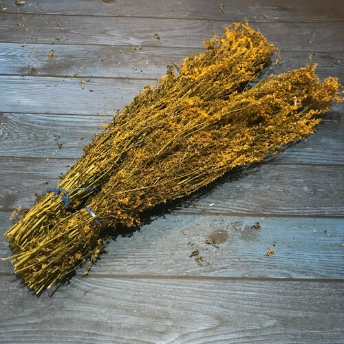 ���� ����� ��� ���� 