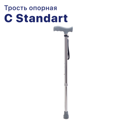    C Standart   -     , -  