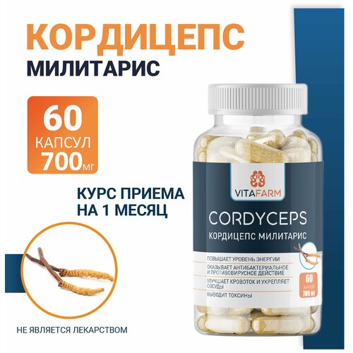 ���� ��������� ��������� (Cordyceps militaris) ������� 60 ��/ 700 ��