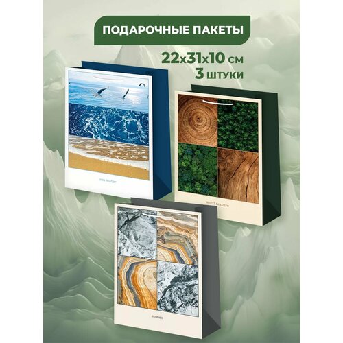 ���� ���������� ����� ��� �������, ����, ���� , ����� 3 �����, ������ 22�31�10 ��