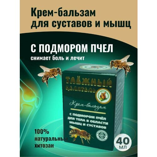 ���� ���� ���� ��� ���� � �������� �������������� � ���������