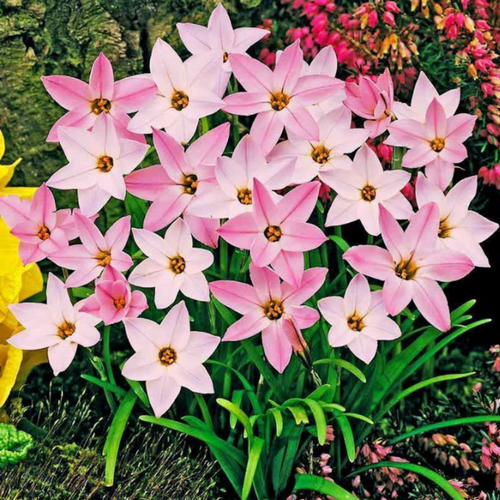 ���� ������ �������� ����� 10 ��.