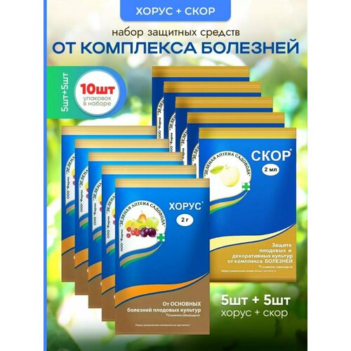 ���� ���� �������� 5 �� ����� �������� ��� ������ �������� �� �������� 5 ��