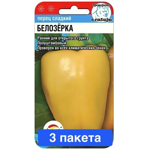 ���� ������ ������ ��������� ��� 