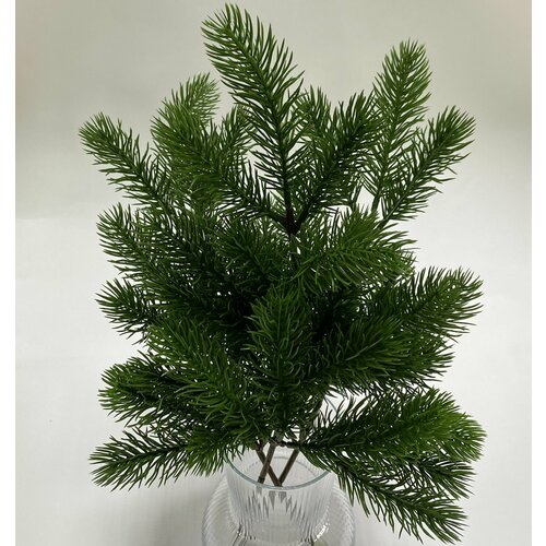 ���� ������ ����� �������������, 16 �����, 42��, 3 ��/��� ������/����� ���