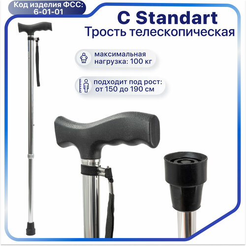 ���� ������ C Standart ����