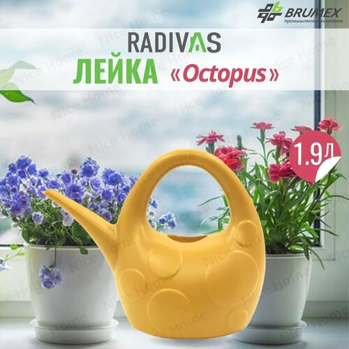   Radivas     Octopus  H1-01-37,     -     , -  