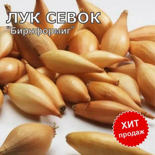 ���� ��� ����� ������ �� ������� ���������� 900�