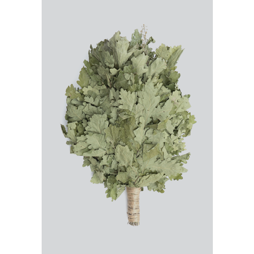 ���� ������ ��� ���� � �����