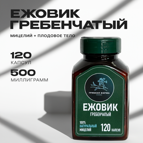 ���� ������ ����������� (������) � �������� 120 �� / ���� �� ����� / ��������� ������� / �����