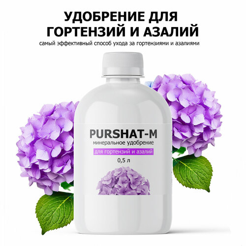     ,     (Purshat) 500   -     , -  