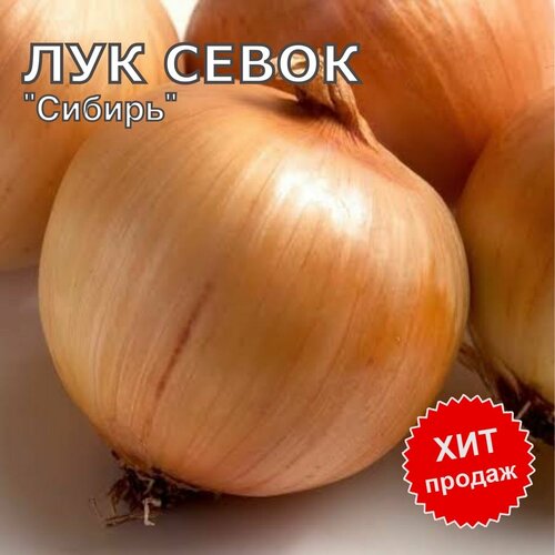 ���� ��� ����� ������ �� ������� 