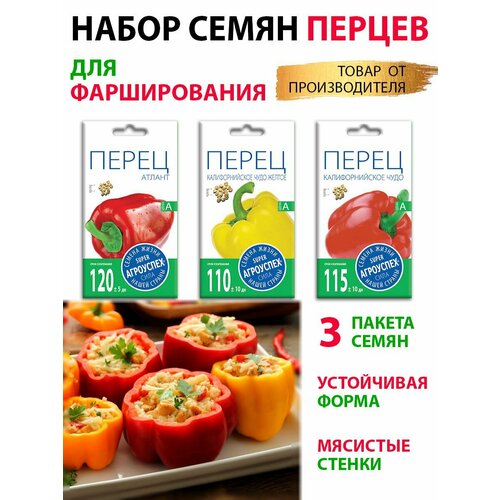 ���� ������ ������ ��� ����������