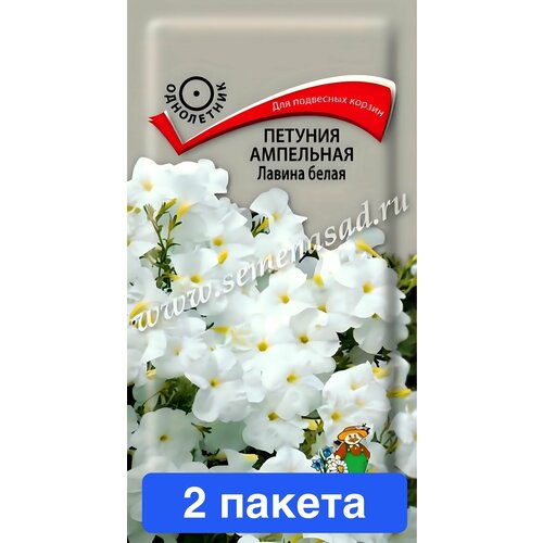 ���� ����� ������� ��������� ������ ����� F1 ����� 2 ������