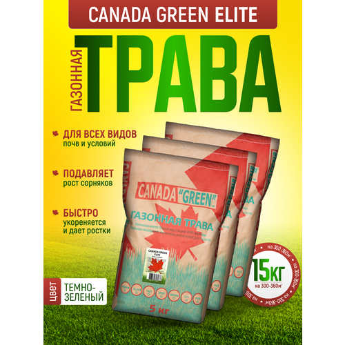         15 /  15/ Canada Green Elite 15/   , ,   -     , -  